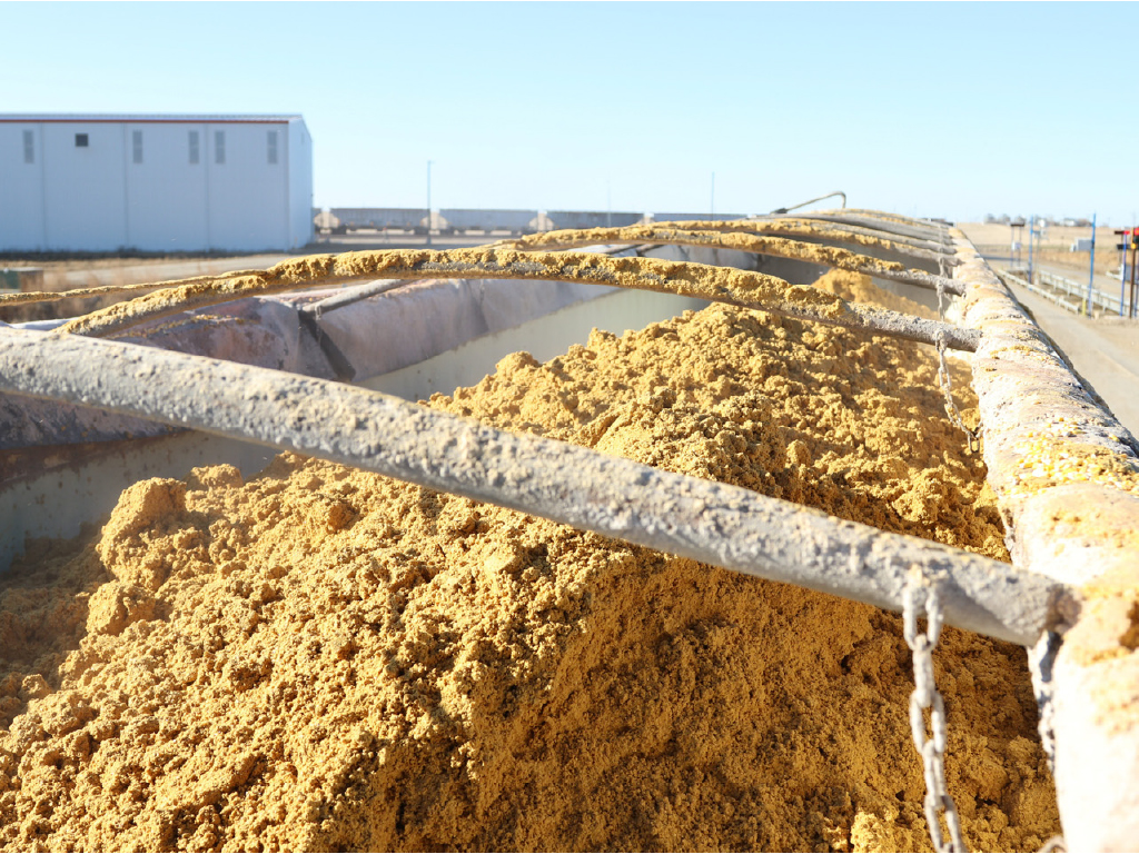 Ringneck Energy - Home - Grain in truck